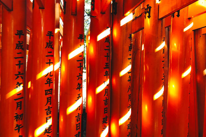 The morning sun shining on a couple of red torii gates at the Fushimi Inari Shrine in Kyoto, Japan.