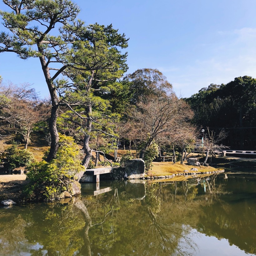 One of the many ponds in Nara Park.