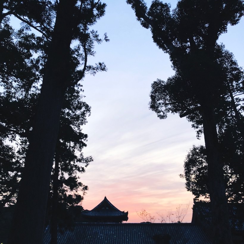 Sunset at the Todaiji temple.