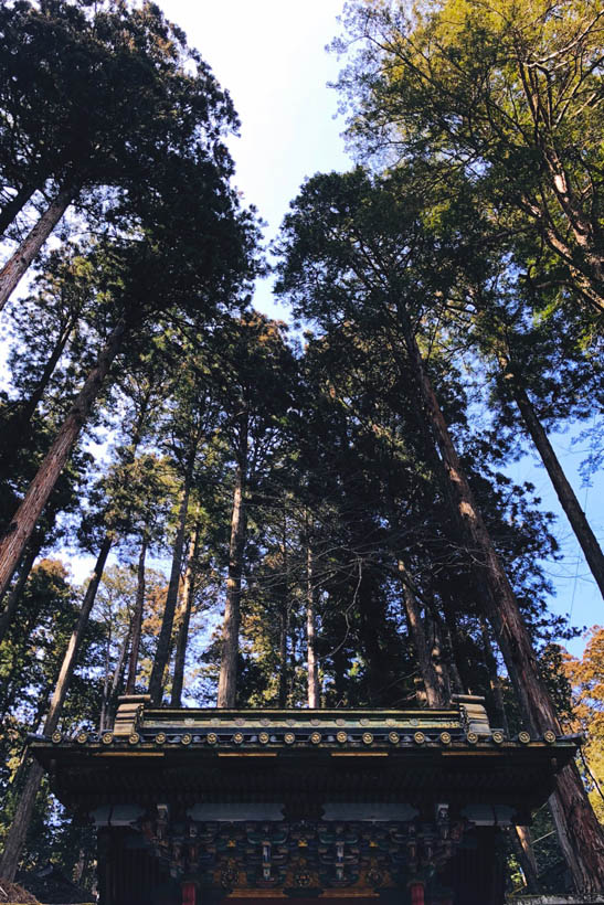 The shrine is surrounded by trees