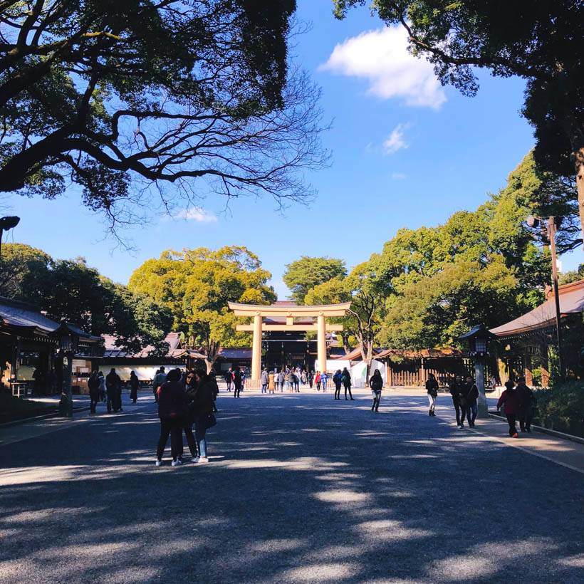 An overview of the Meji Shrine in Tokyo, Japan, with a large torii gate in the center.