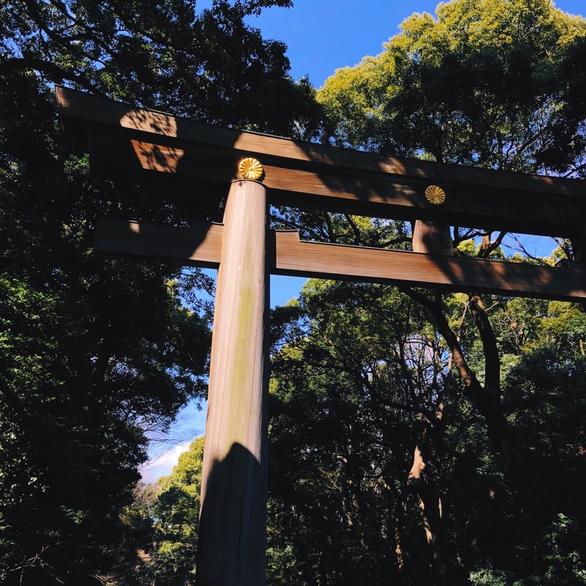 The top left corner of a large wooden torii gate at the entrance of the Yoyogi Park in Tokyo, Japan.