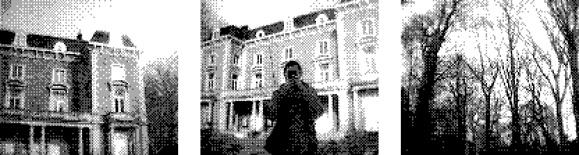 Three pictures taken with a Game Boy Camera: a mansion, my girlfriend in front of a mansion, and trees.