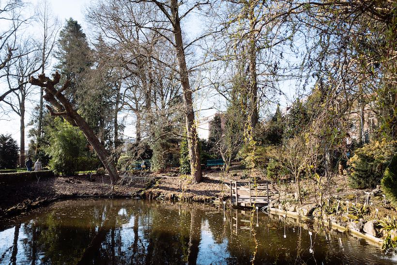 The pond of the Kruidtuin (Botanical Garden) in Leuven.