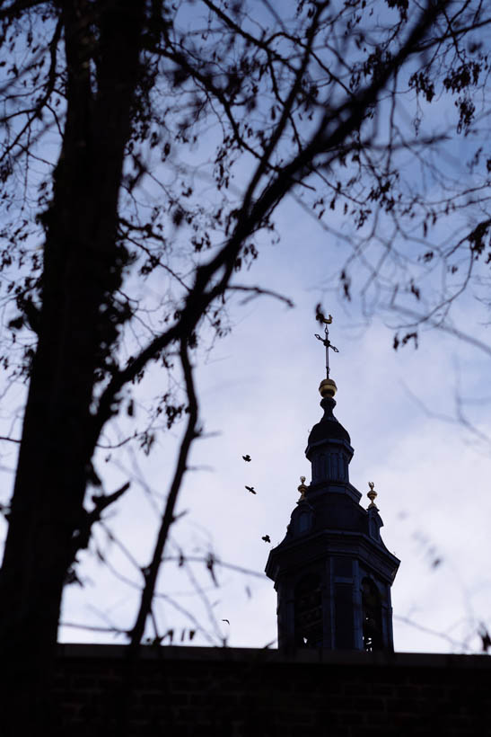 Walks in Leuven