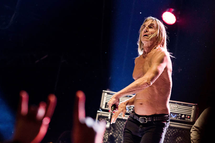 Iggy And The Stooges live at Brussels Summer Festival in Belgium on 12 August 2012